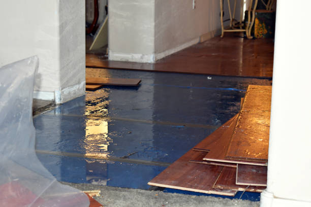 Professional Sewage Cleanup technician working in Newaygo, MI