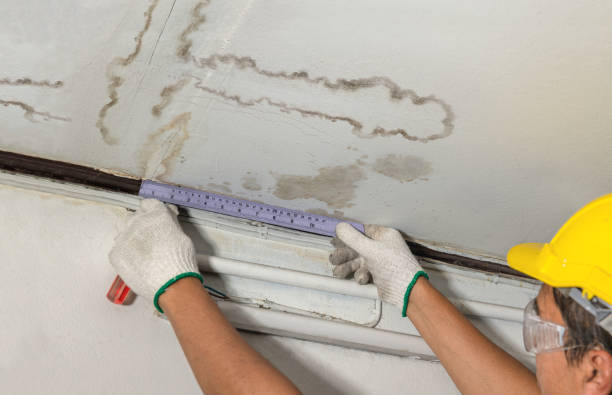 Reliable Sewage Cleanup contractor in Newaygo, MI by Water Damage Irwin